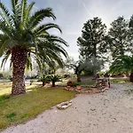 Serena L'Ampolla