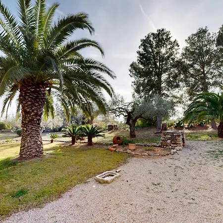 Serena L'Ampolla